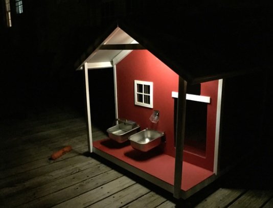 Doghouse.jpg