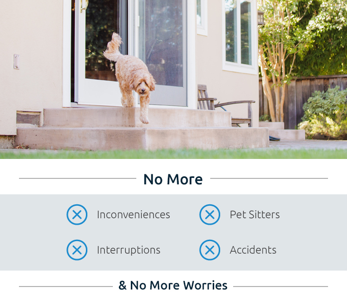 Wayzn Automatic App Controlled Sliding Pet Door Opener Steemhunt
