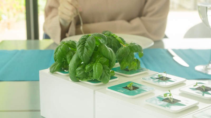 Planty-Square-by-Nthing-is-modular-hydroponic-gardening-kit_1.jpg