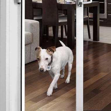 Autoslide Automatic Pet Door Create An Automatic Pet Door Using
