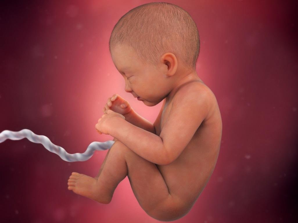 pregnancy-week-34-lung-development_4x3.jpg