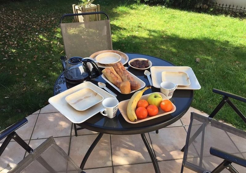 vaisselle-jetable-bagasse-003-800x561.jpg