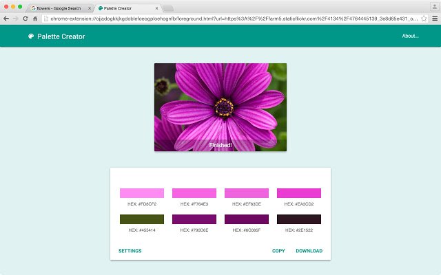palette ..1.jpg