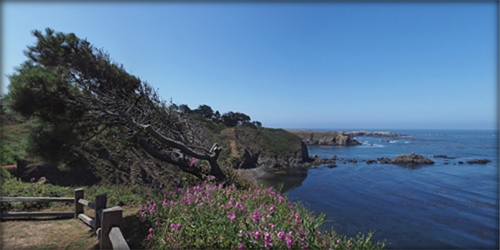 image020.png