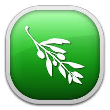 oliveeditor.jpeg
