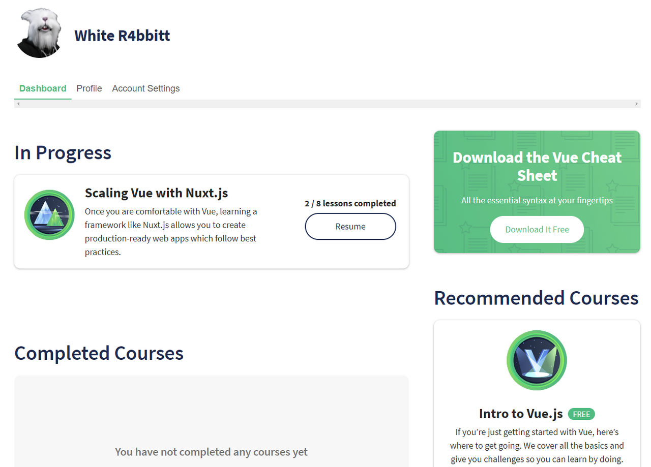 vuemastery-4.png