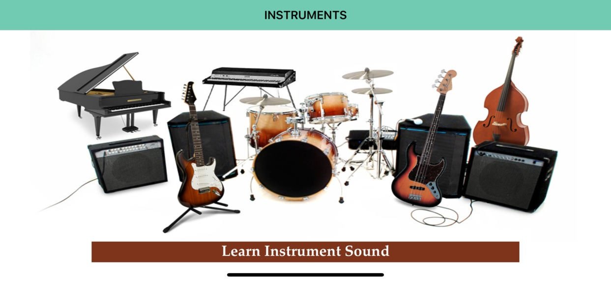 SmartInstruments .jpg
