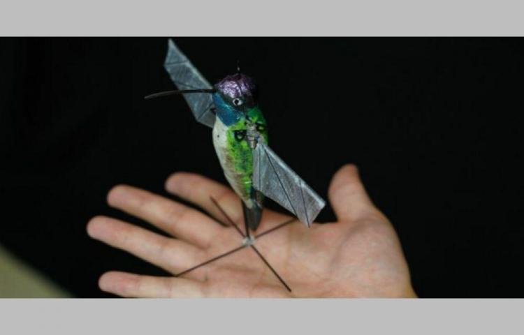 476059_750x480_crop_5cdf61c7d8650.jpg