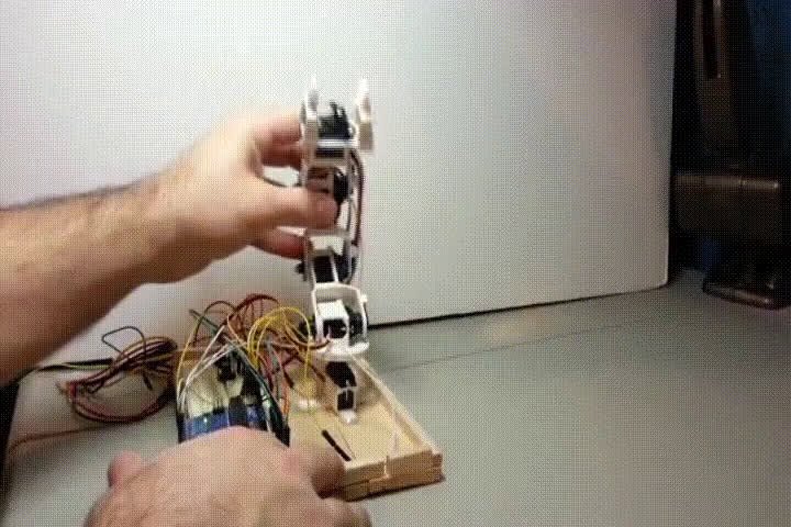 ARM-GIF.mp4