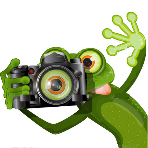 logo.png