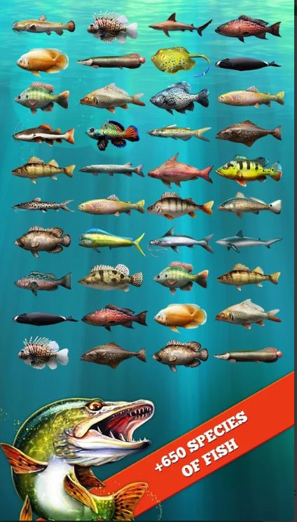 fish2.jpg