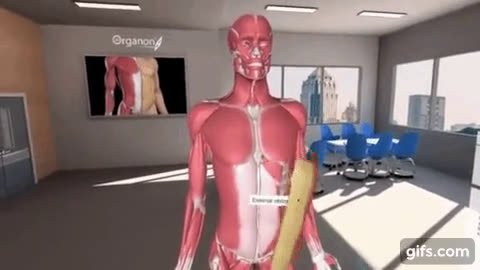 3d Organon Enterprise Edition The Most Realistic Human Anatomy
