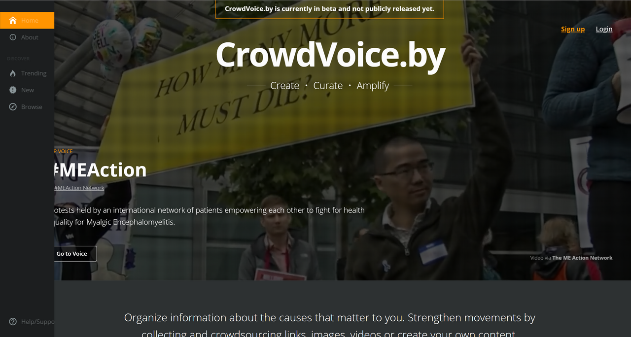 CrowdVoice.PNG