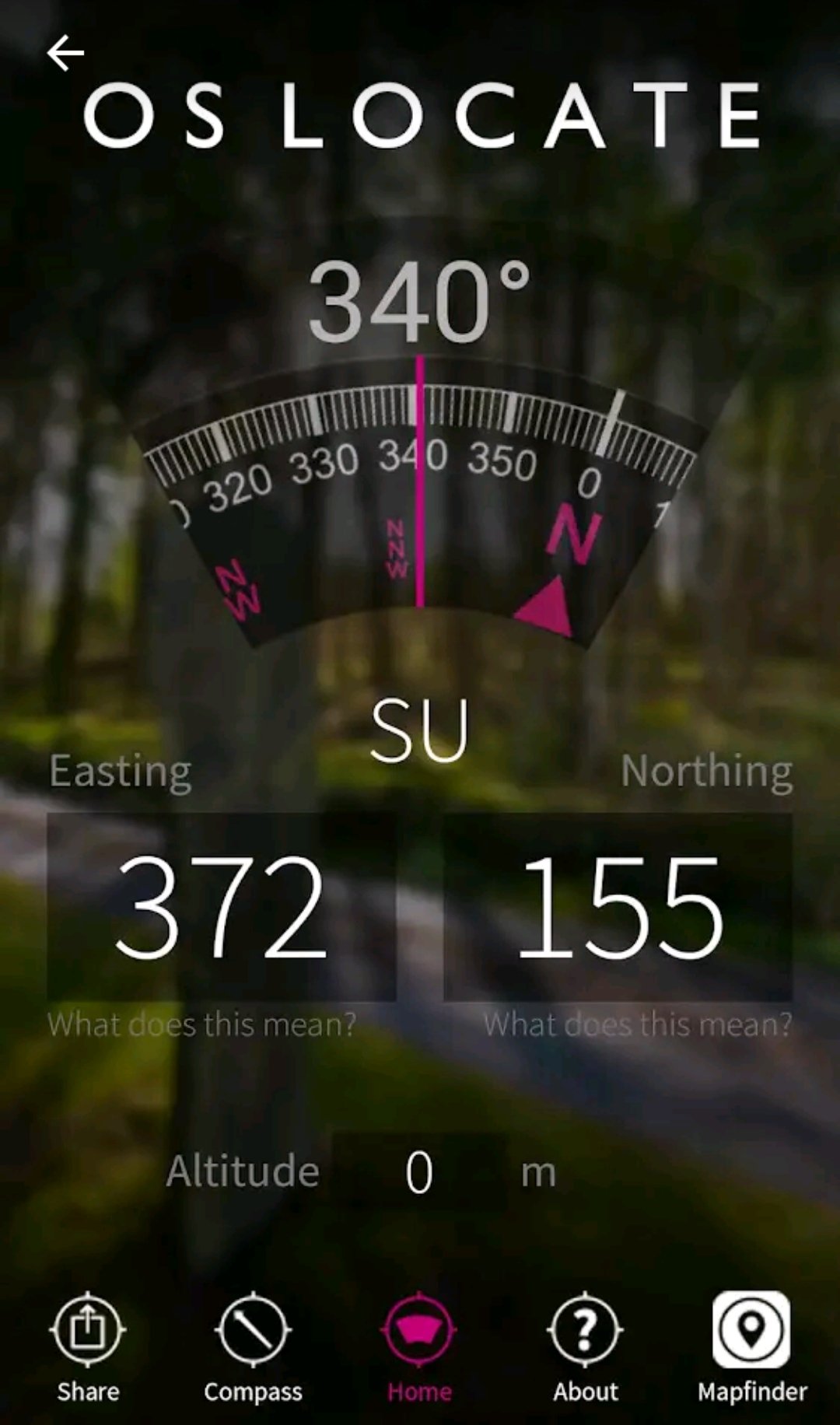 Screenshot_20190822-230128_Google Play Store.jpg