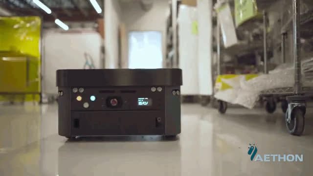 T41.mp4