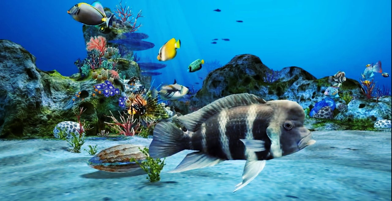 3D Aquarium Live Wallpaper HD - Make your screen realistic with animated  fishe and sea coral | Steemhunt