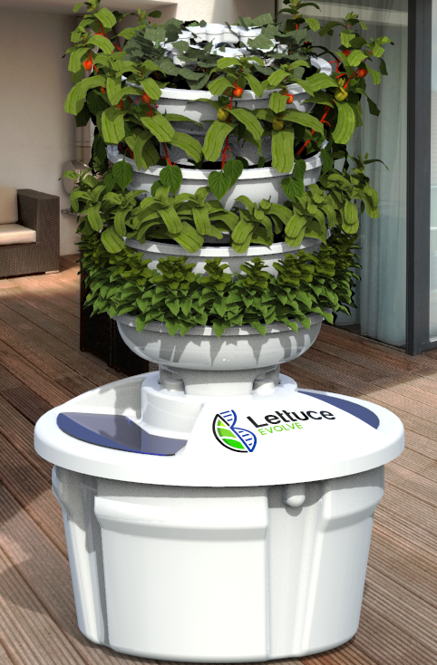 PATIO-MOCK-WEBSITE-2.png