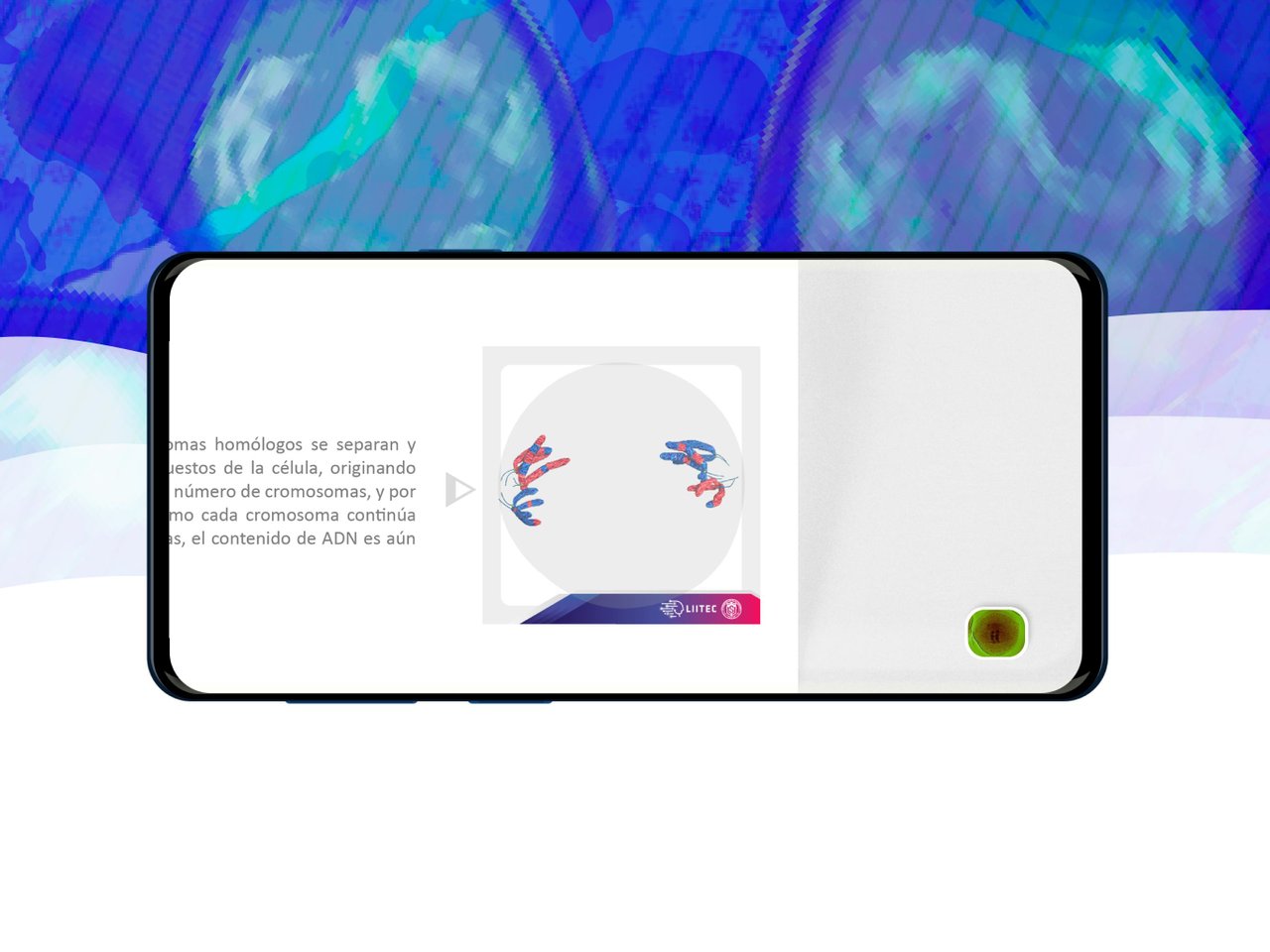 screen-5.jpg
