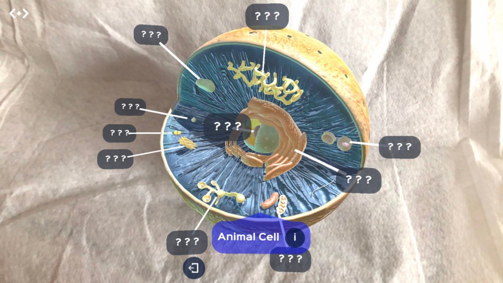 animalcell-1024x576.jpg