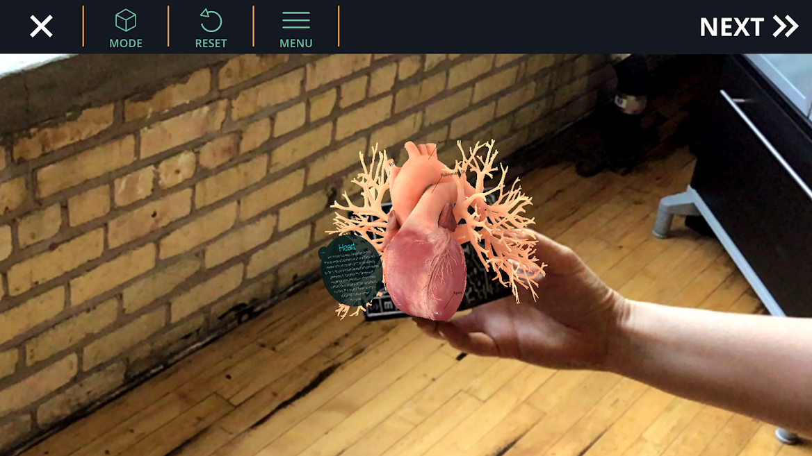 ajij.png