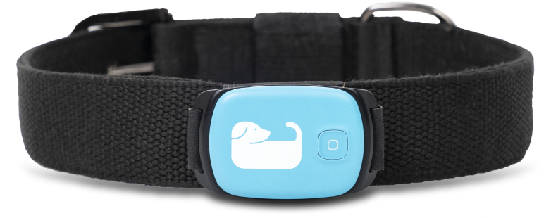 device-image-new.png