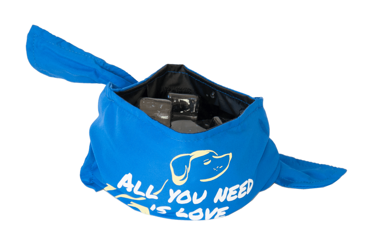 BBBlue1.jpg