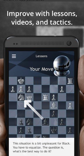 chess3.jpg