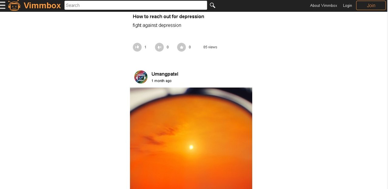 vimm2.jpg