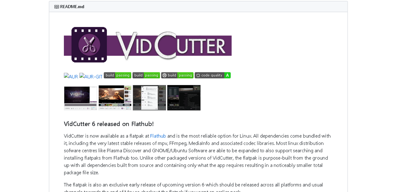 vidcutter.png