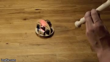 w2.mp4