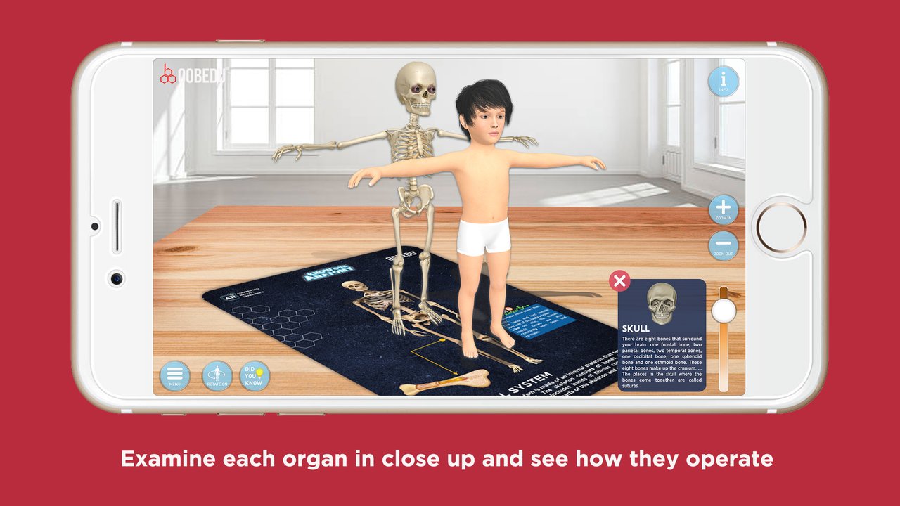 3-Anatomy-All-IOS-APP-MOBILE-Screen-1242x2208.jpg