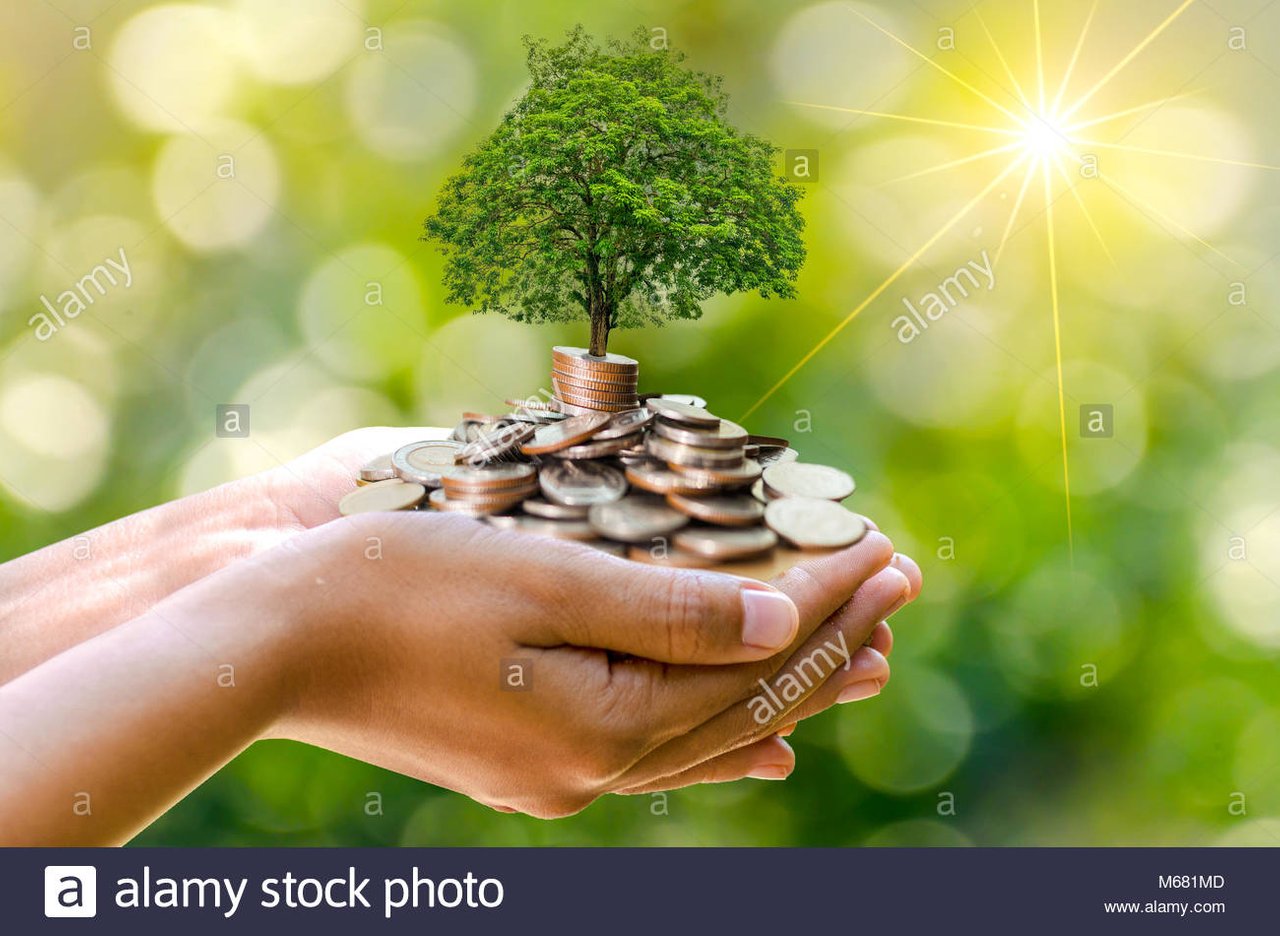 hand-coin-tree-the-tree-grows-on-the-pile-saving-money-for-the-future-M681MD.jpg
