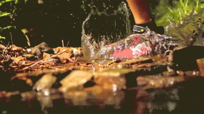 gif-final.mp4