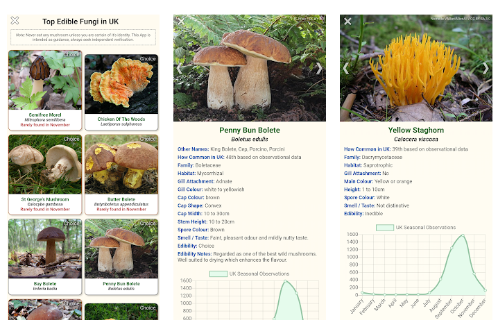 Screenshot_20200807-151940.png