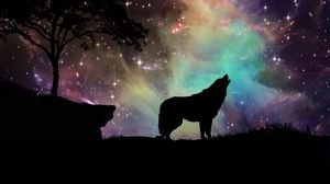 wolf_starry_sky_silhouette_art_117253_300x168.jpg