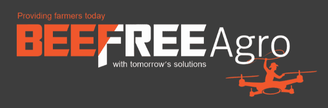 BeeFree.png