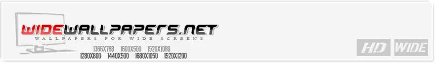 logo.mp4