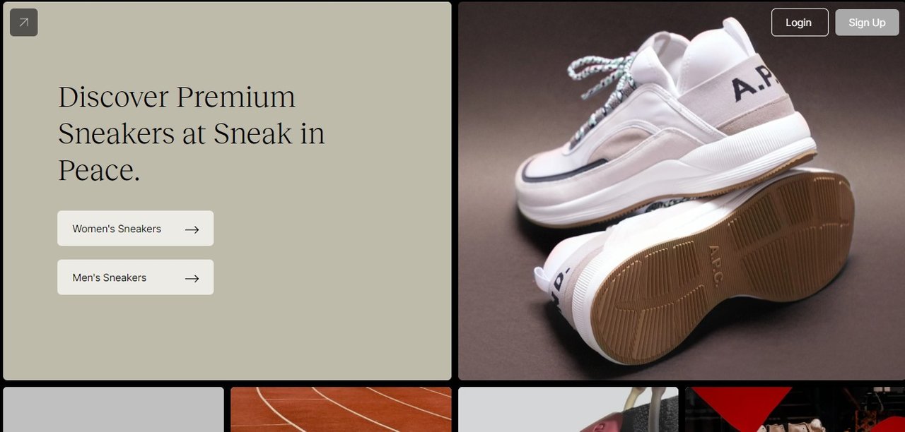 sneak.jpg