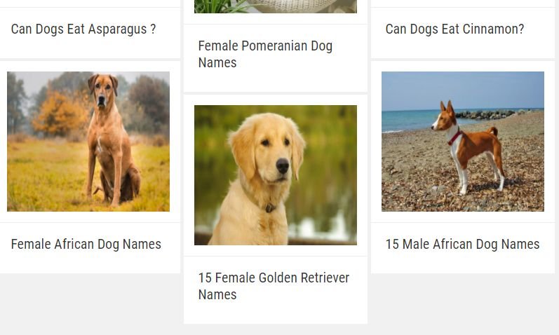 Dog Name Generator Find Your Dog S Name Steemhunt Unique dog names and meanings. steemhunt