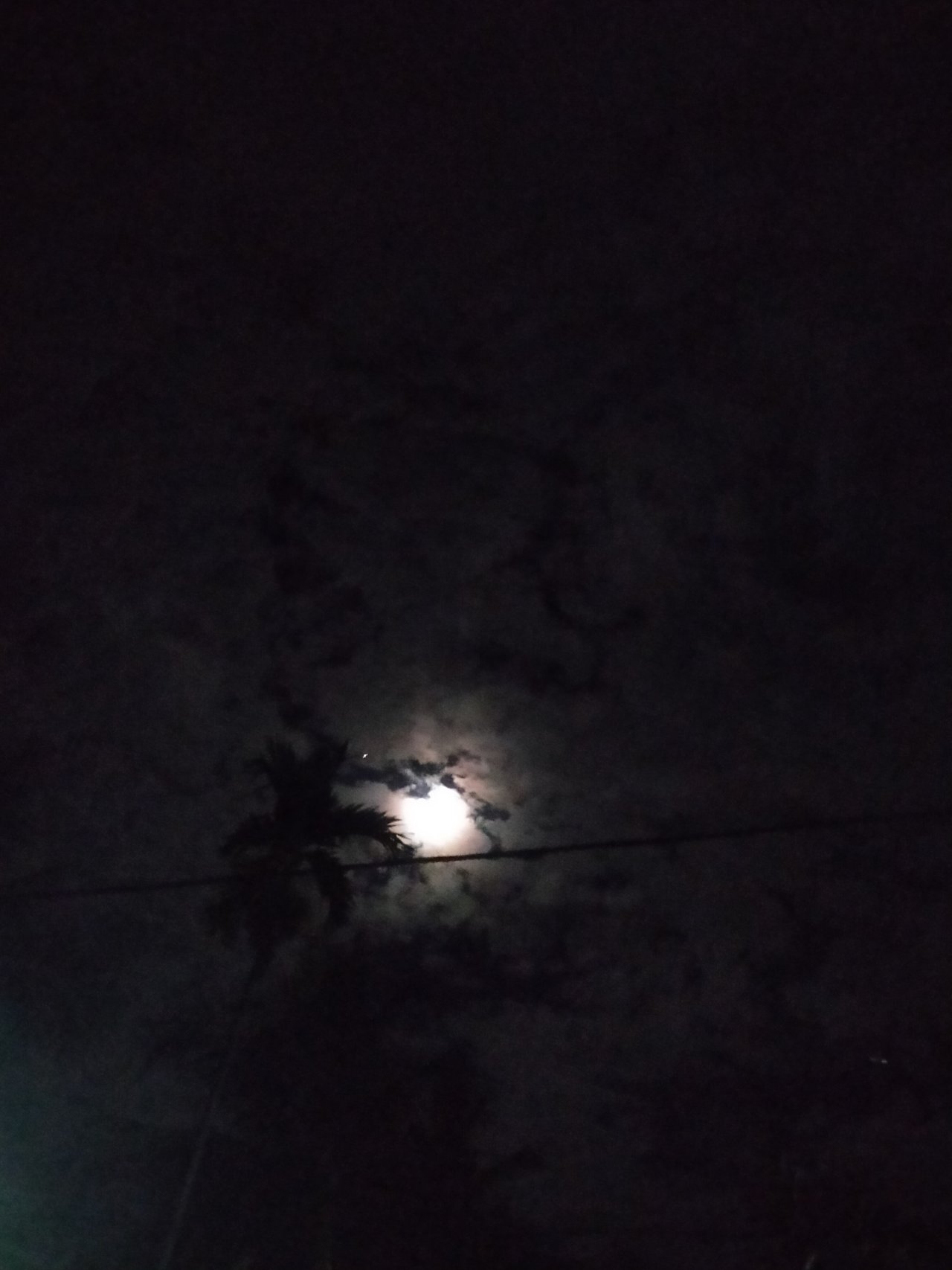 IMG20210629005852.jpg
