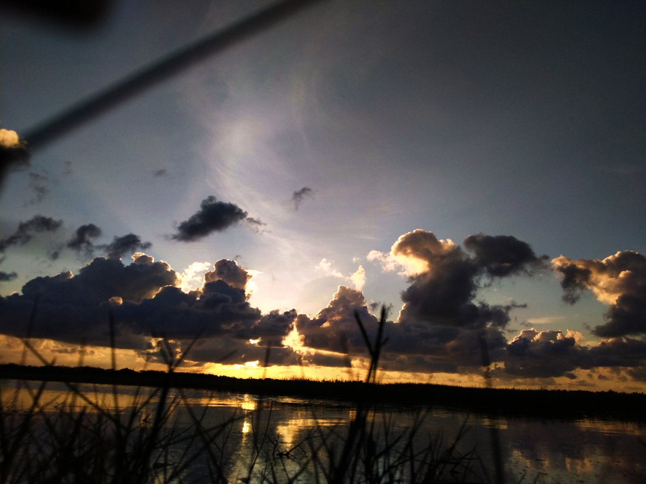 IMG_20210628_182511.jpg