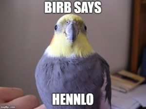 birb-2-300x225.jpg
