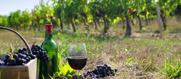 In_vino_veritas_-c-est_la_vie_en_vignes___Atout_France__1_-696x304.jpg
