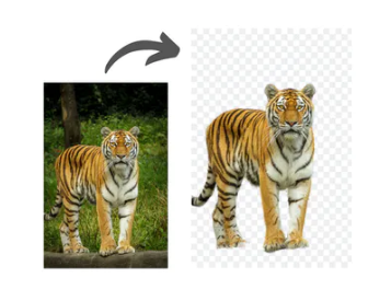 vAklC9UVgi.png