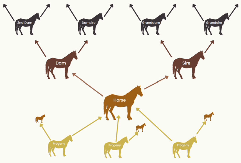 A6679B3F-597D-47FF-B4A5-A7F6E7095A99.png