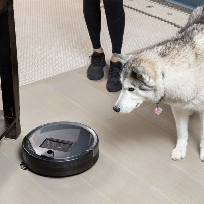 pethair-plus-robotic-vacuum-cleaner-mop-charcoal_b3cf8.jpg.jpg