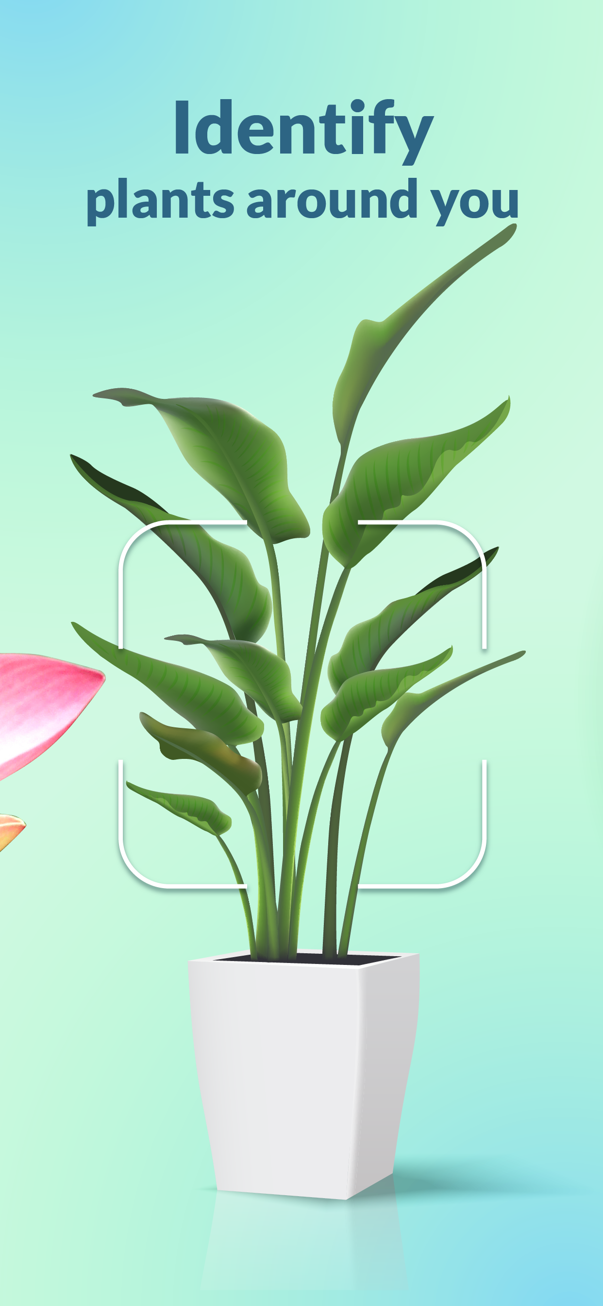 app store screens Plantility_iPhone 6.5-2 (3).png