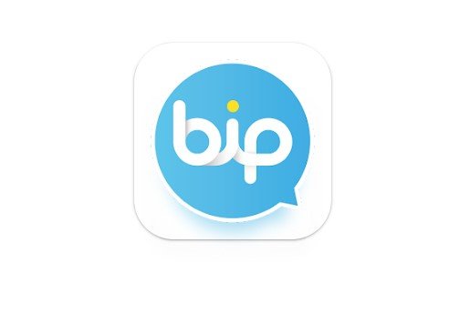 bip.jpg