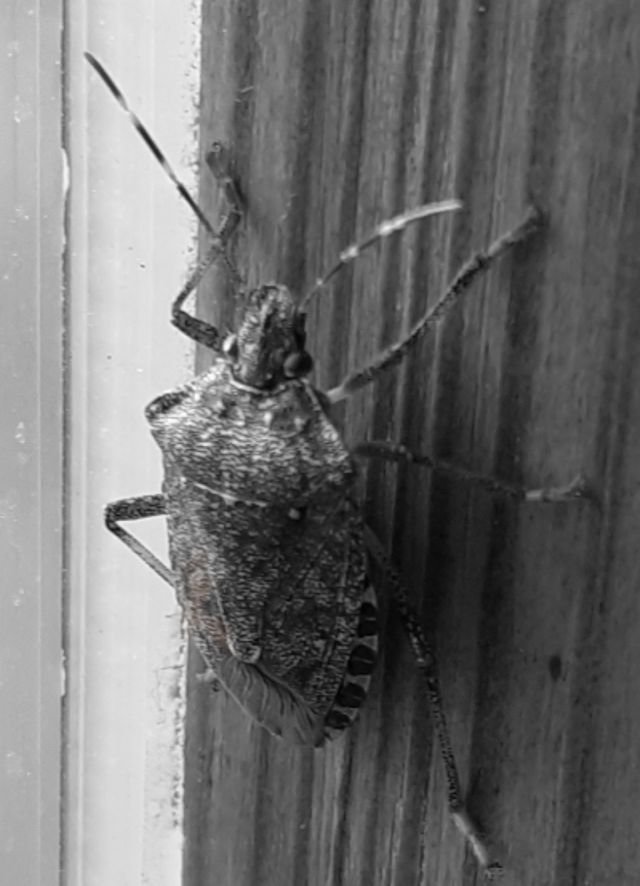 5842da9f4a28ca10556ee838c31a06bf