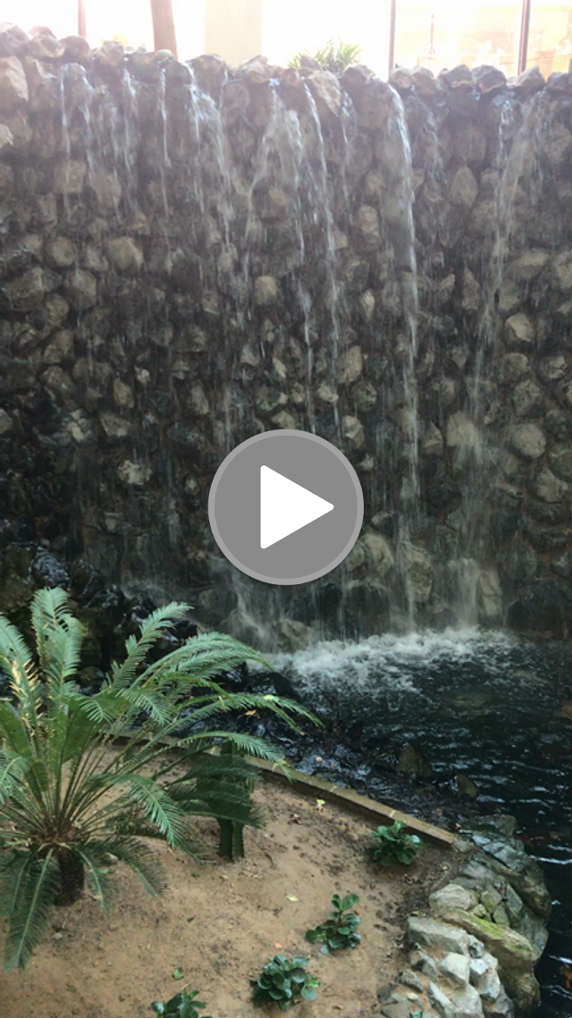 The Indoor Waterfall The Fish Radisson Blu Sharjah